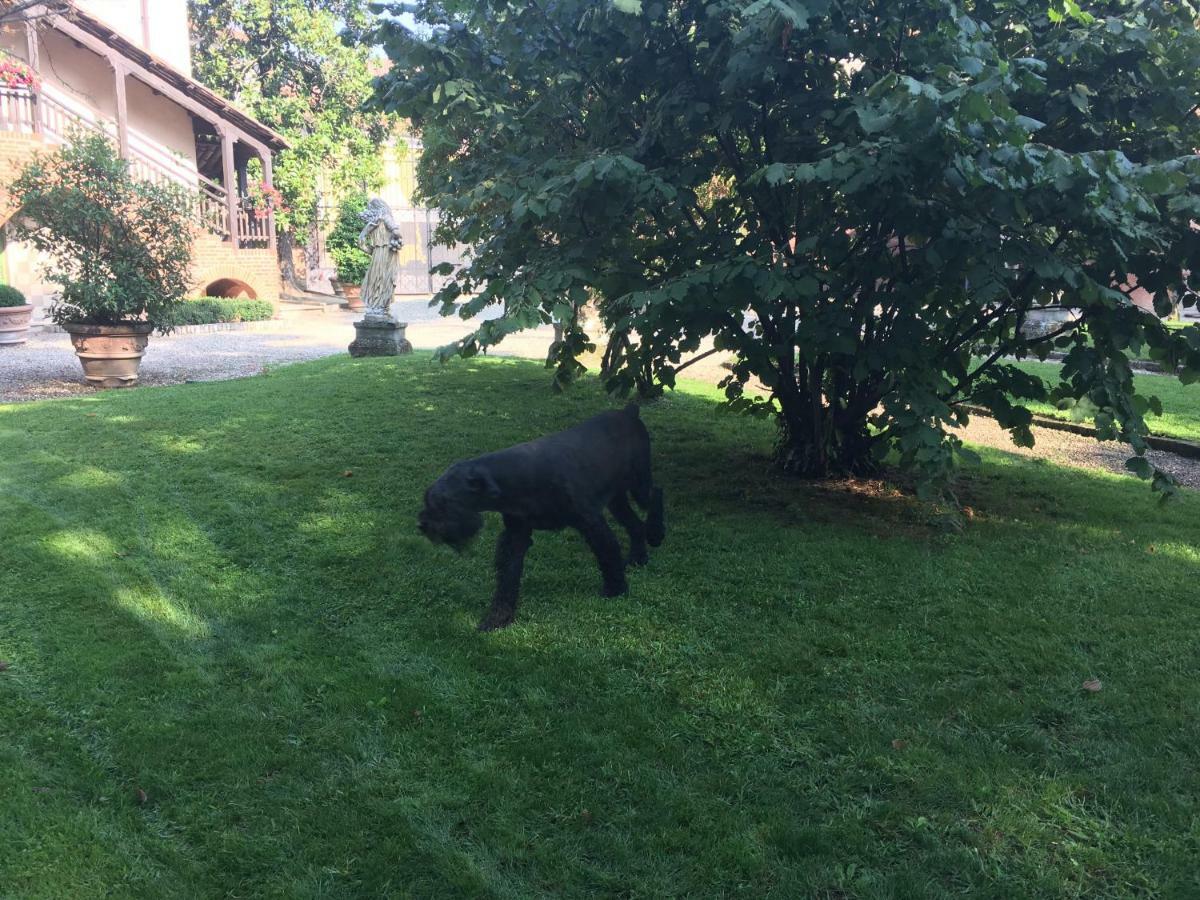 B&B San Martino Mede Εξωτερικό φωτογραφία